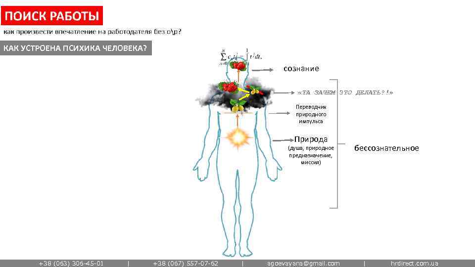КАК УСТРОЕНА ПСИХИКА ЧЕЛОВЕКА? сознание «ТА ЗАЧЕМ ЭТО ДЕЛАТЬ? !» Переводчик природного импульса Природа