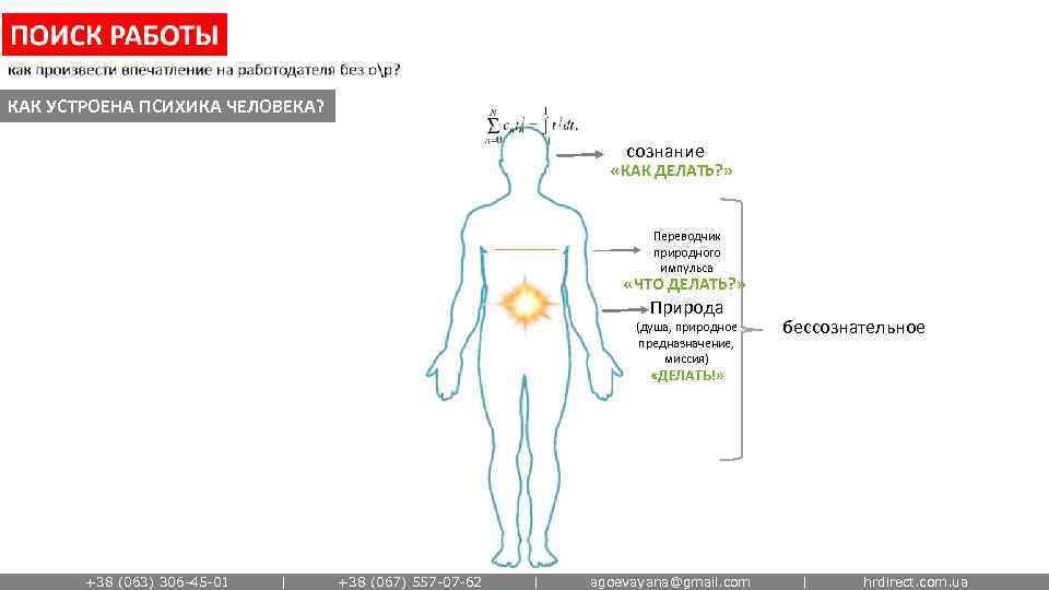 КАК УСТРОЕНА ПСИХИКА ЧЕЛОВЕКА? сознание «КАК ДЕЛАТЬ? » Переводчик природного импульса «ЧТО ДЕЛАТЬ? »