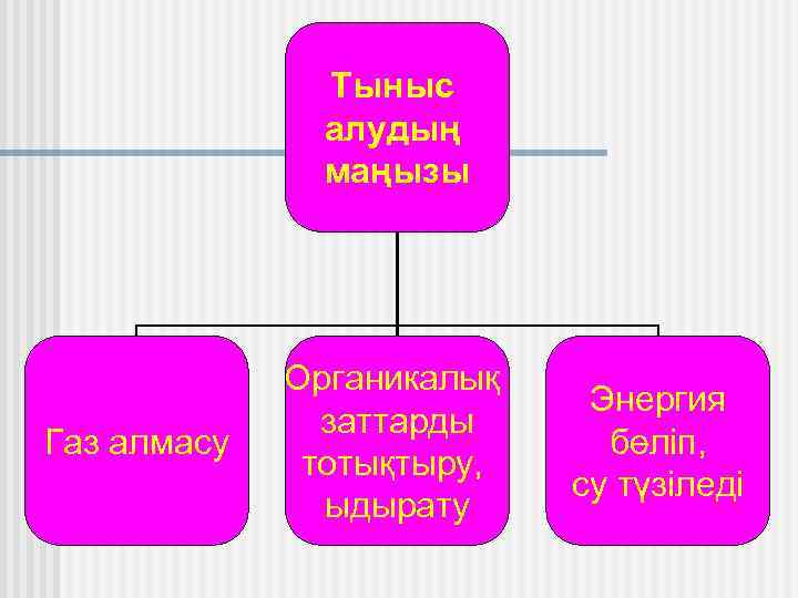 Тыныс йоко картинки