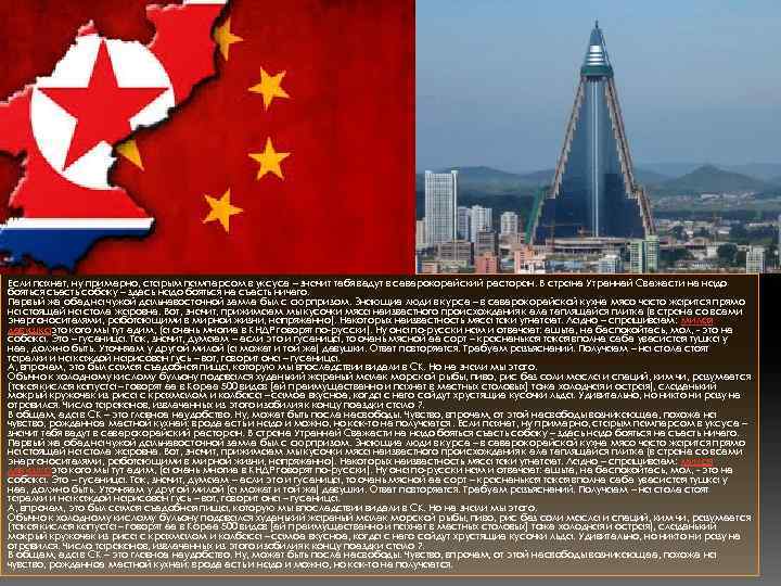 Если пахнет, ну примерно, старым памперсом в уксусе – значит тебя ведут в северокорейский