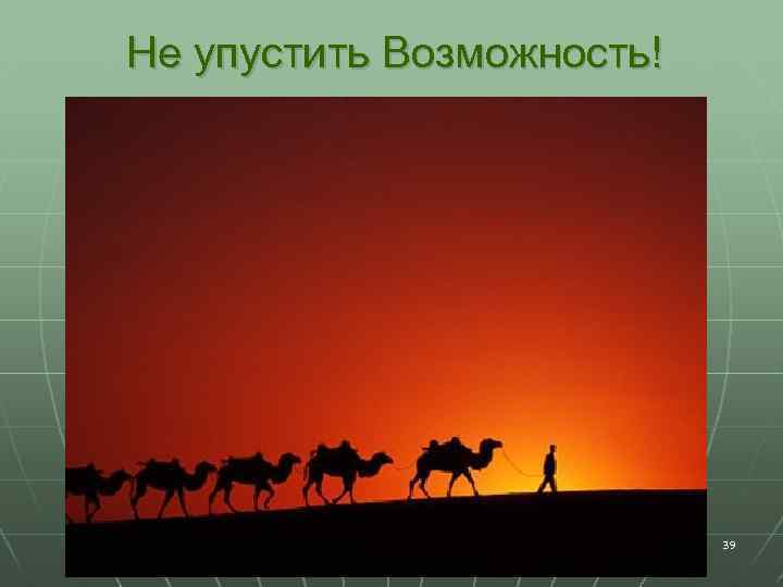 Не упустить Возможность! 39 