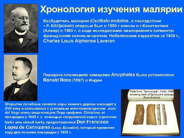Хронология изучения малярии Возбудитель малярии (Oscillaria malariae, в последствии – P. falciparum) впервые был