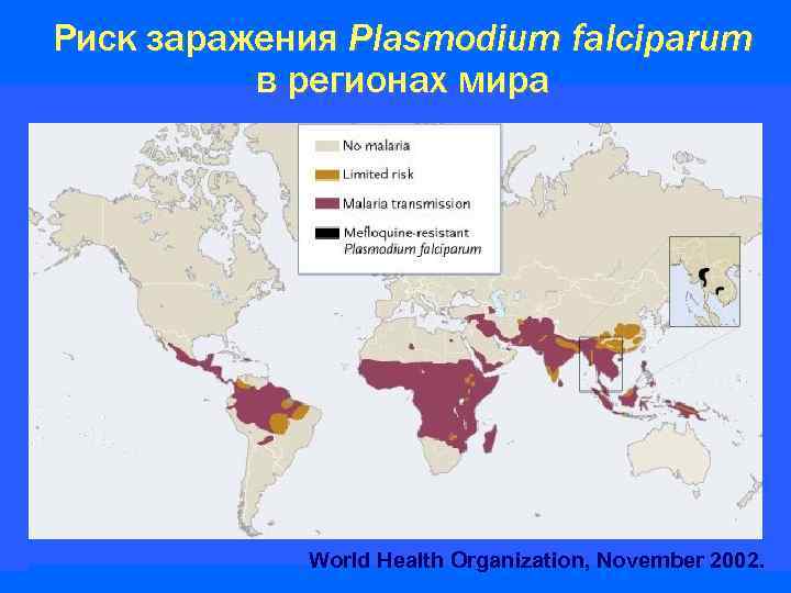 Заболеваемость малярией. Малярия ареал распространения. Карта распространения малярии. Распространенность малярии. Распространение малярии в мире.