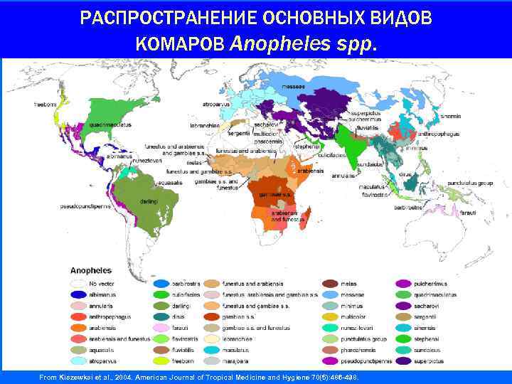 РАСПРОСТРАНЕНИЕ ОСНОВНЫХ ВИДОВ КОМАРОВ Anopheles spp. From Kiszewksi et al. , 2004. American Journal