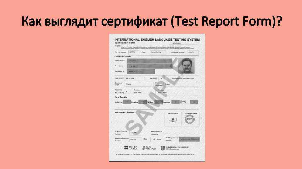 Как выглядит сертификат (Test Report Form)? 