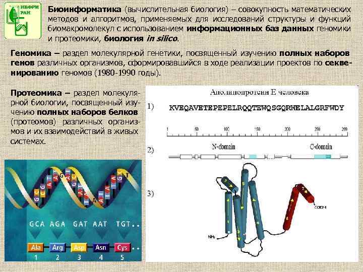 Презентация по биоинформатике