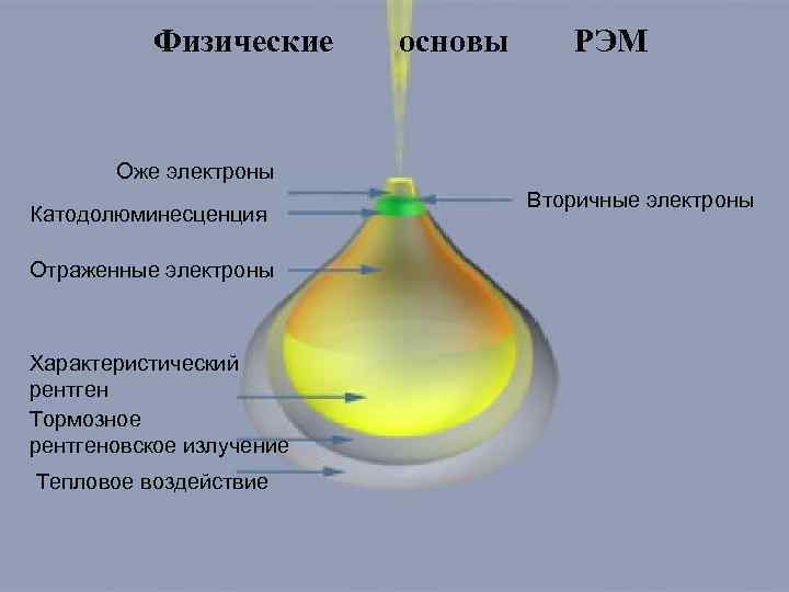 Физические основы РЭМ Оже электроны Катодолюминесценция Отраженные электроны Характеристический рентген Тормозное рентгеновское излучение Тепловое