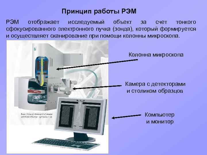 Принцип работы РЭМ отображает исследуемый объект за счет тонкого сфокусированного электронного пучка (зонда), который
