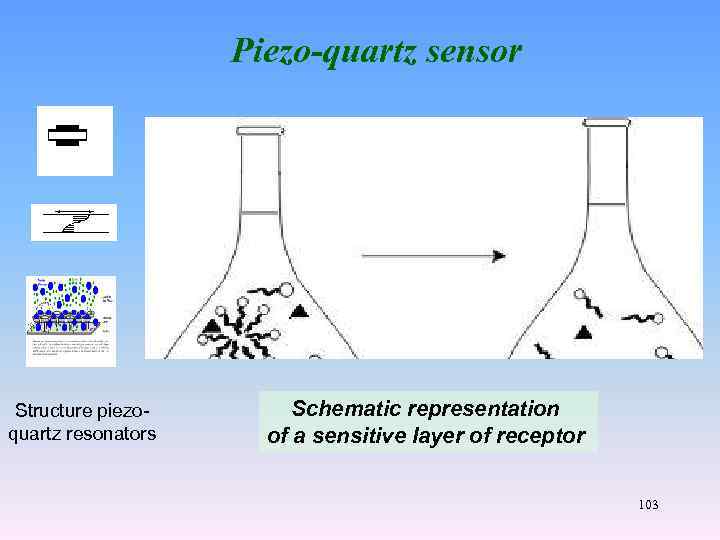 Piezo-quartz sensor Structure piezoquartz resonators Schematic representation of a sensitive layer of receptor 103