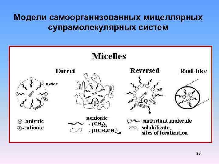 Модели самоорганизованных мицеллярных супрамолекулярных систем 22 