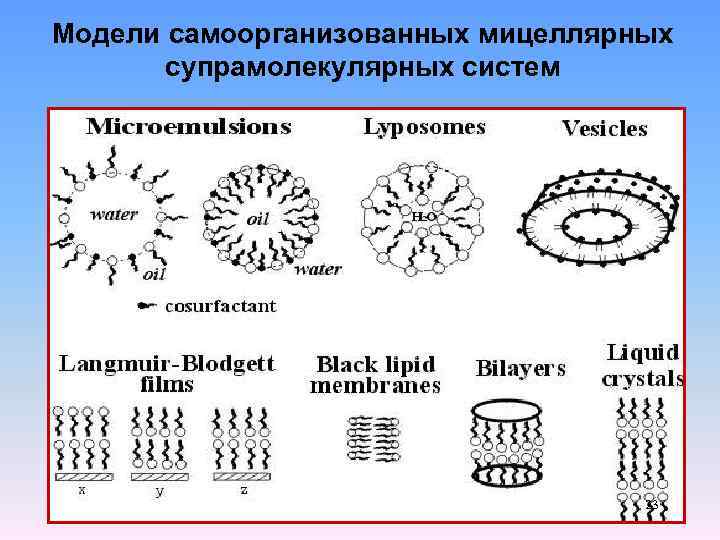 Модели самоорганизованных мицеллярных супрамолекулярных систем 23 