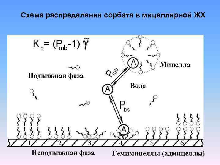 Схема распределения сорбата в мицеллярной ЖХ Мицелла Подвижная фаза Вода Неподвижная фаза Гемимицеллы (адмицеллы)
