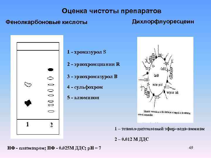Оценка чистоты препаратов Дихлорфлуоресцеин Фенолкарбоновые кислоты 1 - хромазурол S 2 - эриохромцианин R