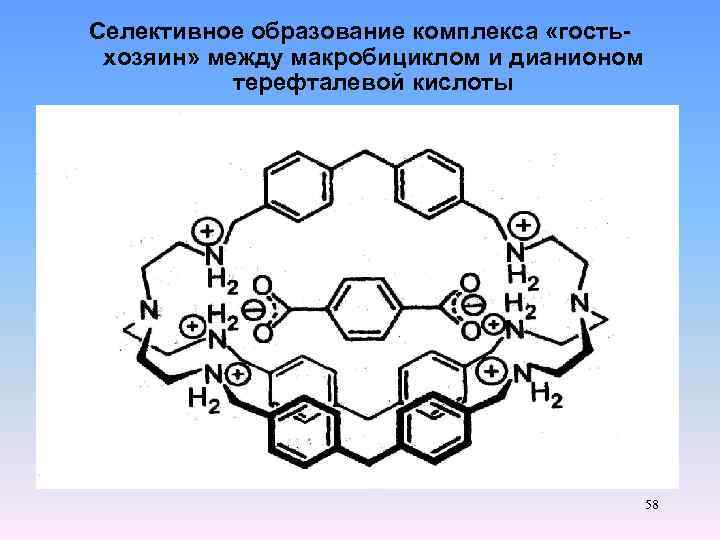 Селективное образование комплекса «гостьхозяин» между макробициклом и дианионом терефталевой кислоты 58 
