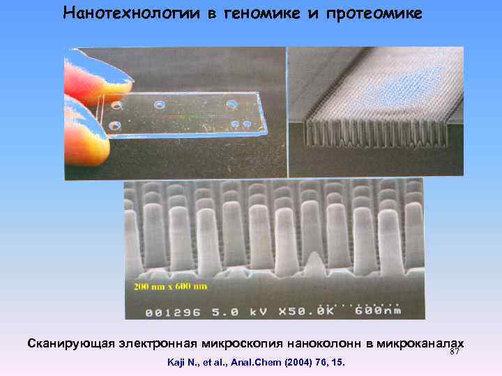 Нанотехнологии в геномике и протеомике Сканирующая электронная микроскопия наноколонн в микроканалах Kaji N. ,