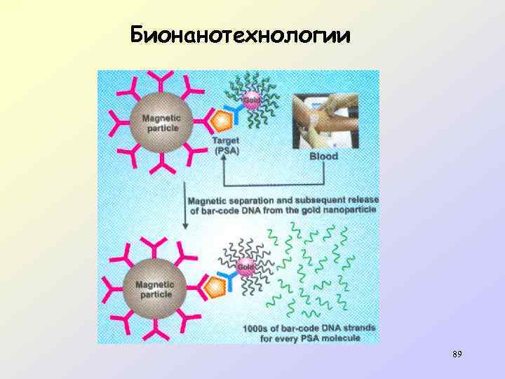 Бионанотехнологии 89 