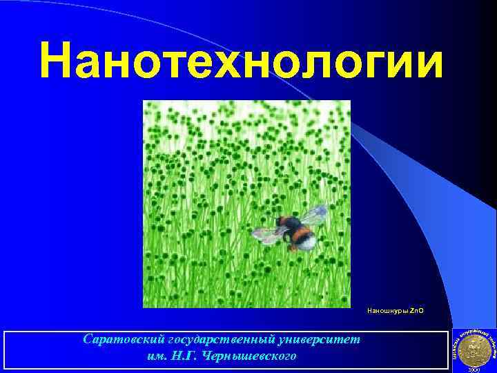 Нанотехнологии Наношнуры Zn. O Саратовский государственный университет им. Н. Г. Чернышевского 