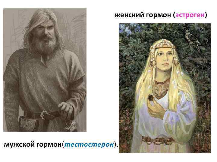 женский гормон (эстроген) мужской гормон(тестостерон). 