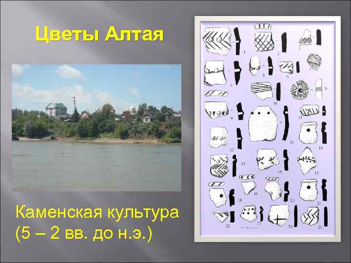 Цветы Алтая Каменская культура (5 – 2 вв. до н. э. ) 