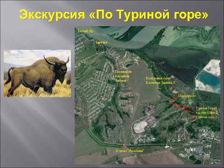 Экскурсия «По Туриной горе» 