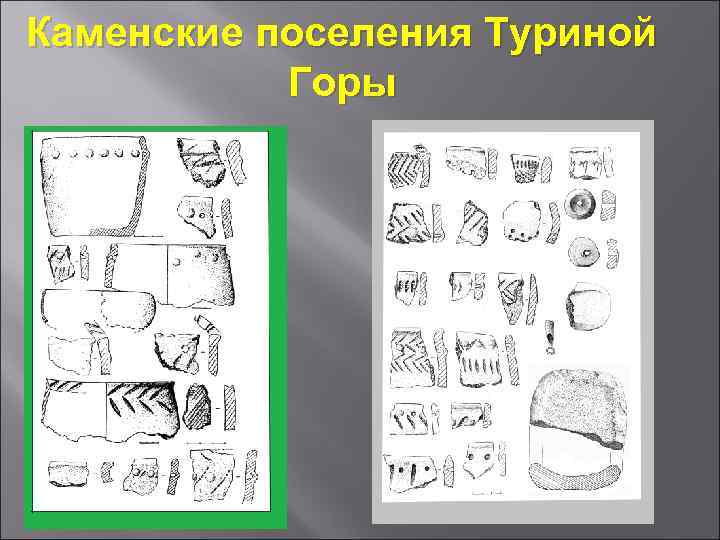 Каменские поселения Туриной Горы 