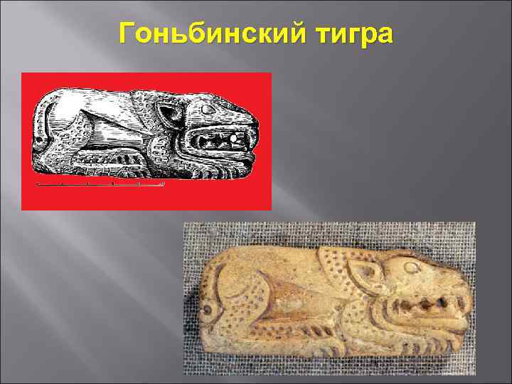 Гоньбинский тигра 