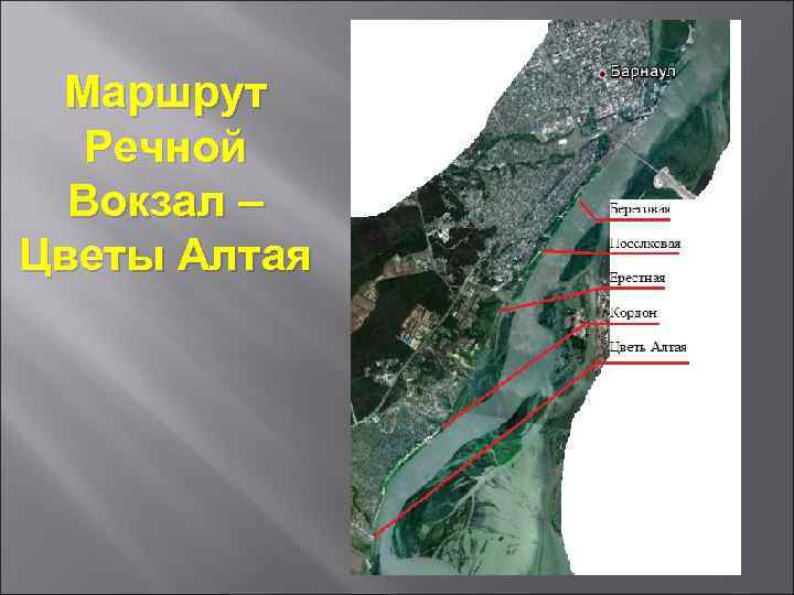 Маршрут Речной Вокзал – Цветы Алтая 