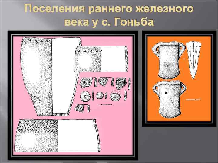 Поселения раннего железного века у с. Гоньба 