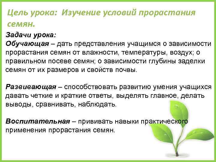 Цель урока: Изучение условий прорастания семян. Задачи урока: Обучающая – дать представления учащимся о