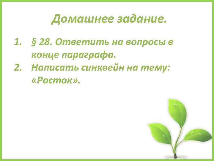 Домашнее задание. 1. § 28. Ответить на вопросы в конце параграфа. 2. Написать синквейн