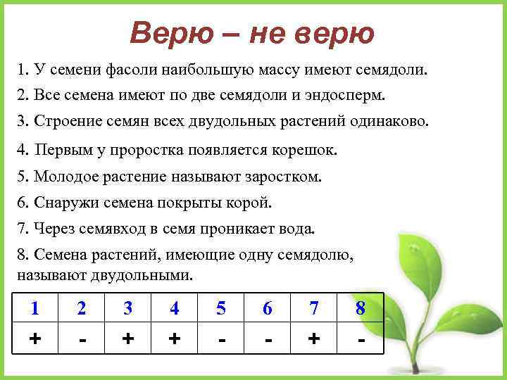 Верю – не верю 1. У семени фасоли наибольшую массу имеют семядоли. 2. Все