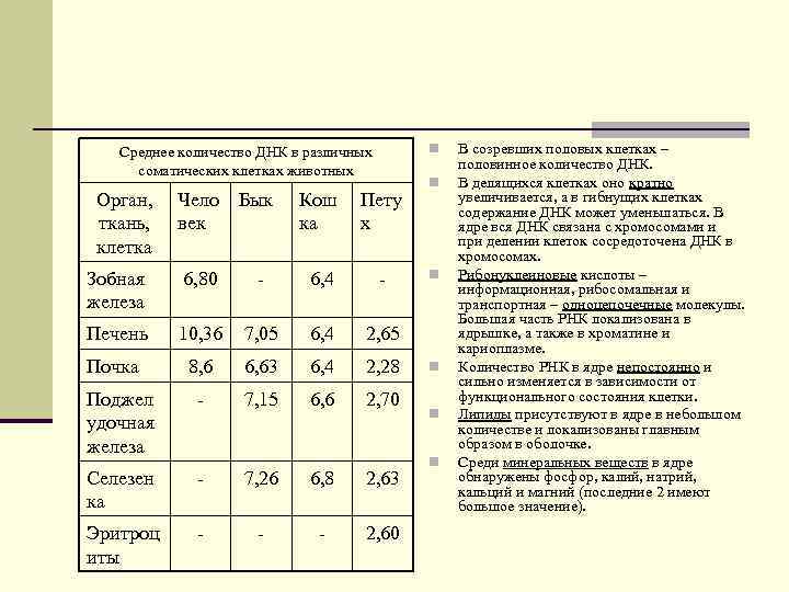 n Среднее количество ДНК в различных соматических клетках животных Орган, ткань, клетка Чело Бык