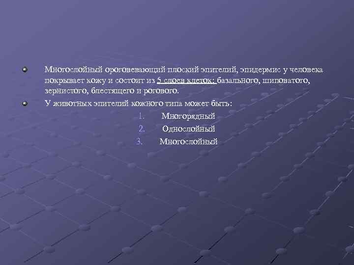 Многослойный ороговевающий плоский эпителий, эпидермис у человека покрывает кожу и состоит из 5 слоев