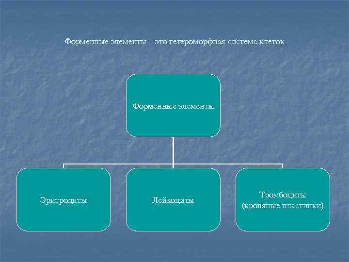 Форменные элементы – это гетероморфная система клеток Форменные элементы Эритроциты Лейкоциты Тромбоциты (кровяные пластинки)