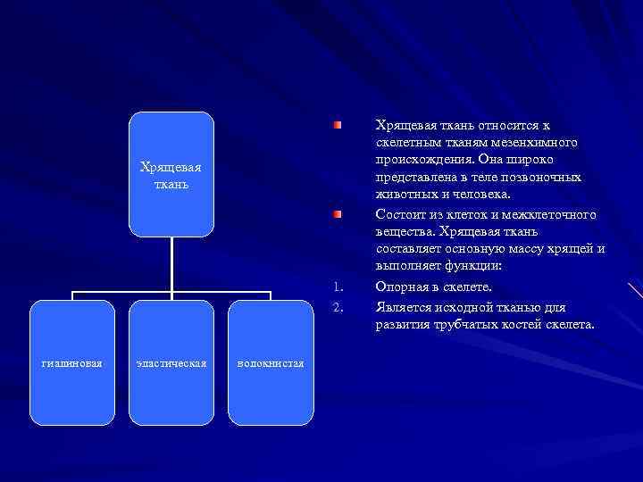 Хрящевая ткань 1. 2. гиалиновая эластическая волокнистая Хрящевая ткань относится к скелетным тканям мезенхимного