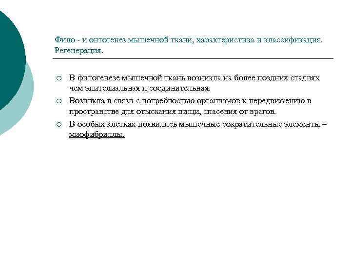 Фило - и онтогенез мышечной ткани, характеристика и классификация. Регенерация. ¡ ¡ ¡ В