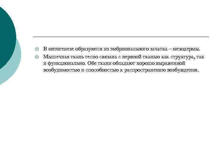 ¡ ¡ В онтогенезе образуются из эмбрионального зачатка – мезодермы. Мышечная ткань тесно связана