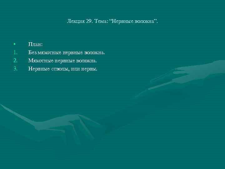 Лекция 29. Тема: “Нервные волокна”. • 1. 2. 3. План: Без мякотные нервные волокна.