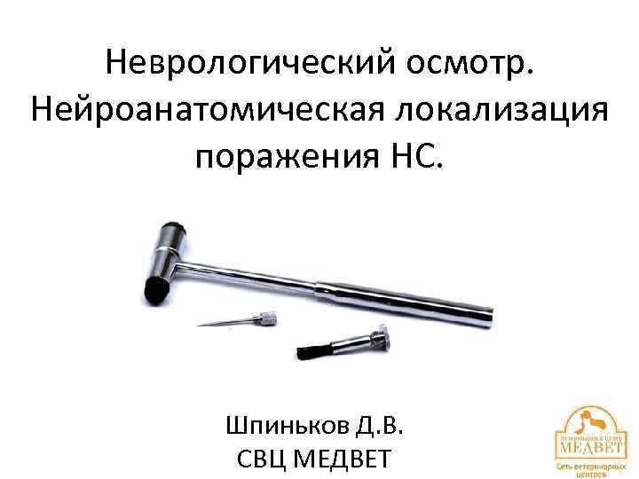 Неврологический осмотр. Нейроанатомическая локализация поражения НС. Шпиньков Д. В. СВЦ МЕДВЕТ 