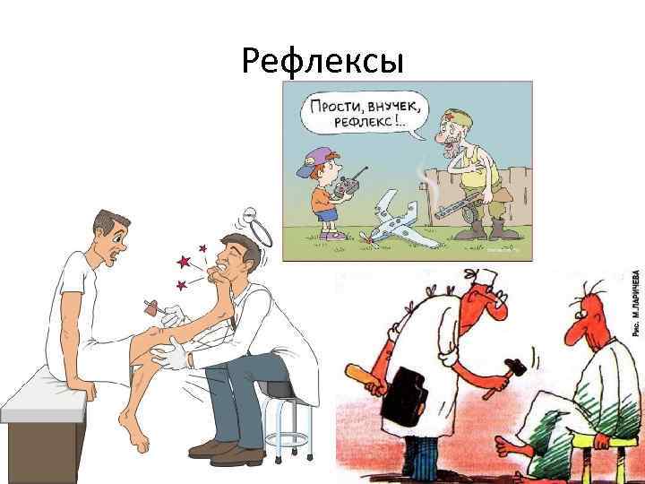Рефлексы 