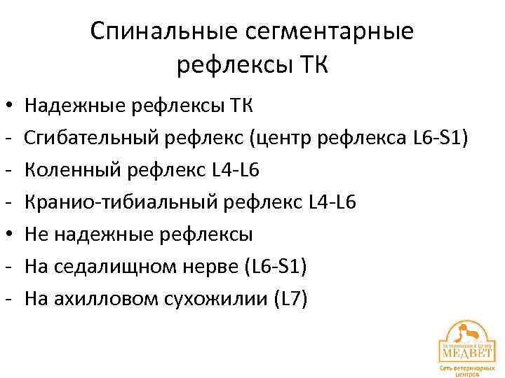 Спинальные сегментарные рефлексы ТК • • - Надежные рефлексы ТК Сгибательный рефлекс (центр рефлекса