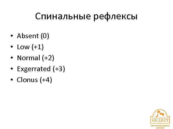 Спинальные рефлексы • • • Absent (0) Low (+1) Normal (+2) Exgerrated (+3) Clonus