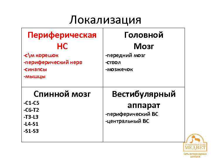 Локализация Периферическая НС -см корешок -периферический нерв -синапсы -мышцы Спинной мозг -С 1 -С