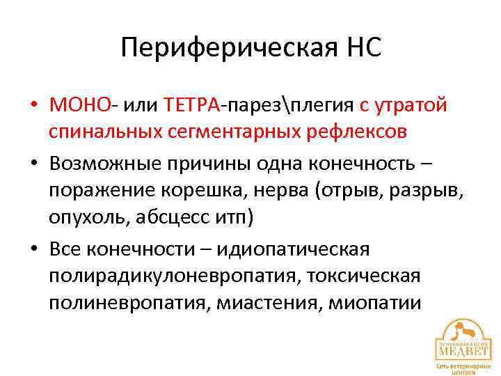 Периферическая НС • МОНО- или ТЕТРА-парезплегия с утратой спинальных сегментарных рефлексов • Возможные причины