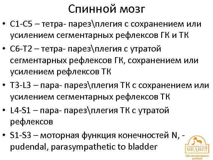 Спинной мозг • С 1 -С 5 – тетра- парезплегия с сохранением или усилением