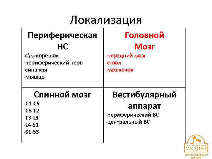 Локализация Периферическая НС -см корешок -периферический нерв -синапсы -мышцы Спинной мозг -С 1 -С