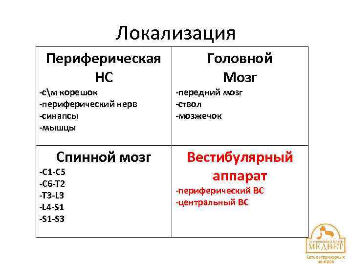 Локализация Периферическая НС -см корешок -периферический нерв -синапсы -мышцы Спинной мозг -С 1 -С