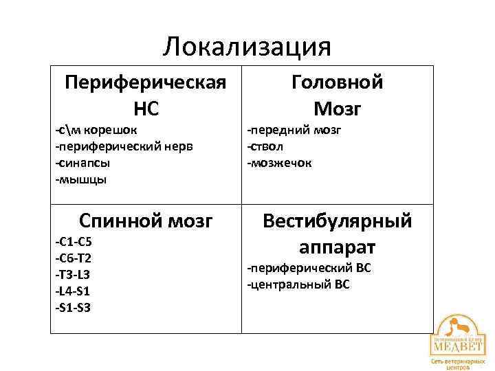 Локализация Периферическая НС -см корешок -периферический нерв -синапсы -мышцы Спинной мозг -С 1 -С