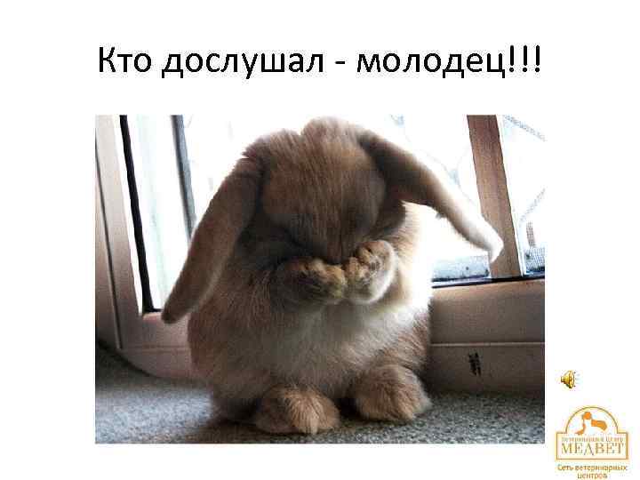 Кто дослушал - молодец!!! 