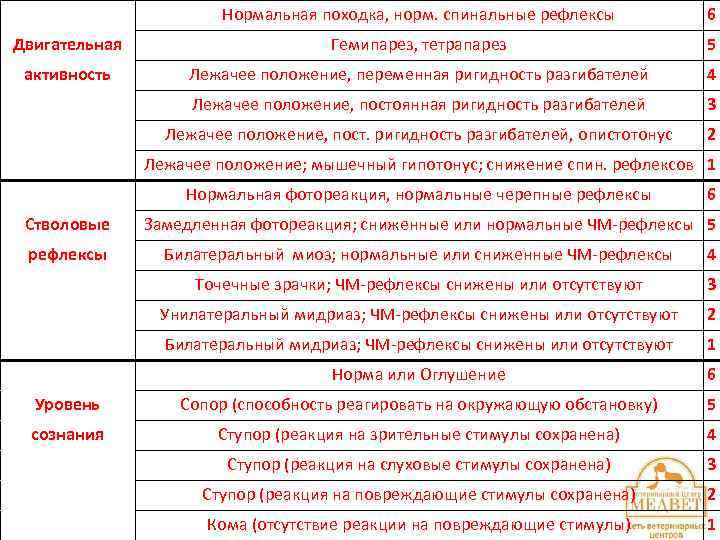 Нормальная походка, норм. спинальные рефлексы 6 Двигательная Гемипарез, тетрапарез 5 активность Лежачее положение, переменная